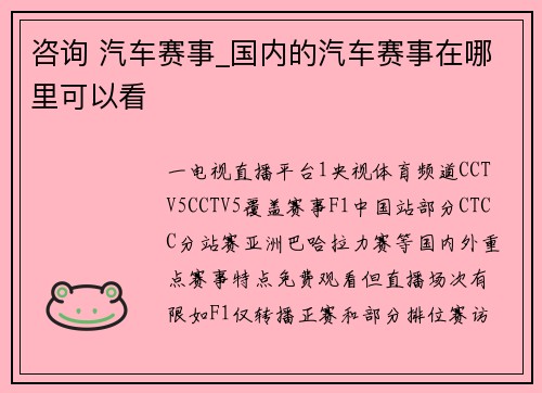 咨询 汽车赛事_国内的汽车赛事在哪里可以看